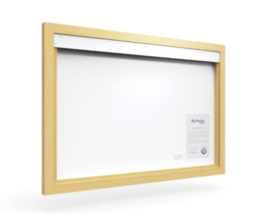 360 view of the product