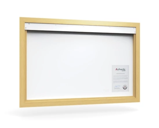 360 view of the product