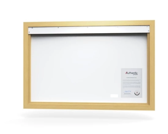 360 view of the product