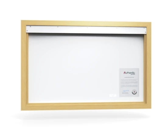 360 view of the product