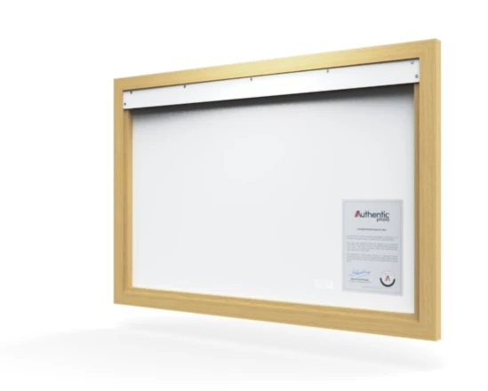 360 view of the product