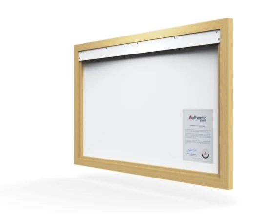 360 view of the product