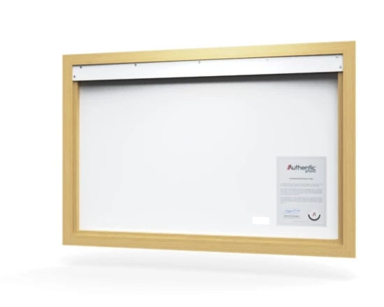 360 view of the product