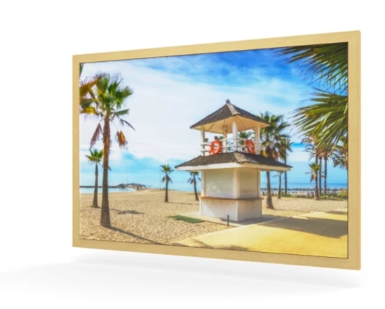 360 view of the product