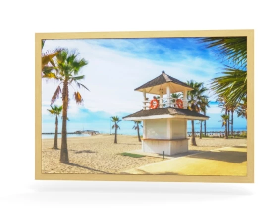 360 view of the product