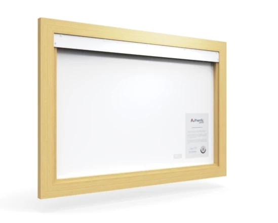 360 view of the product