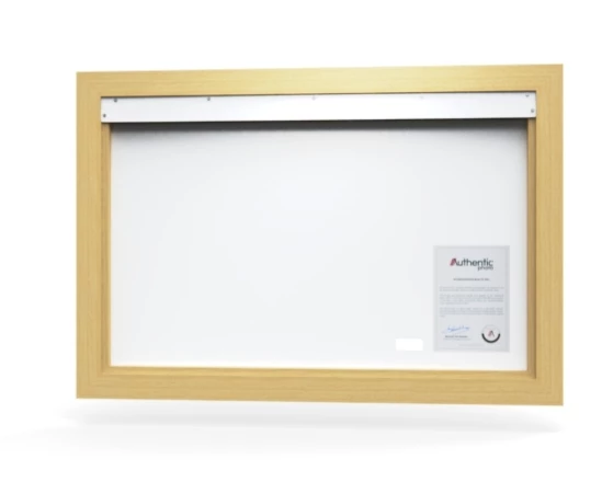 360 view of the product