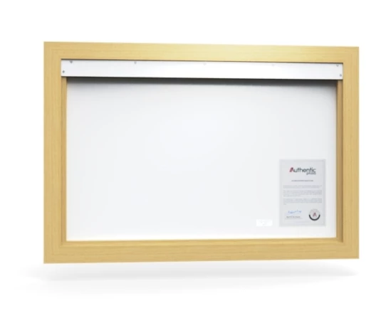 360 view of the product