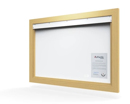 360 view of the product