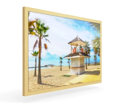 360 view of the product