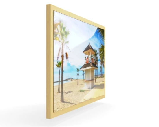 360 view of the product