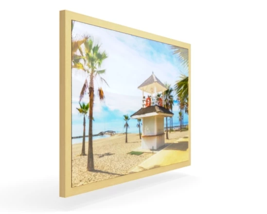 360 view of the product