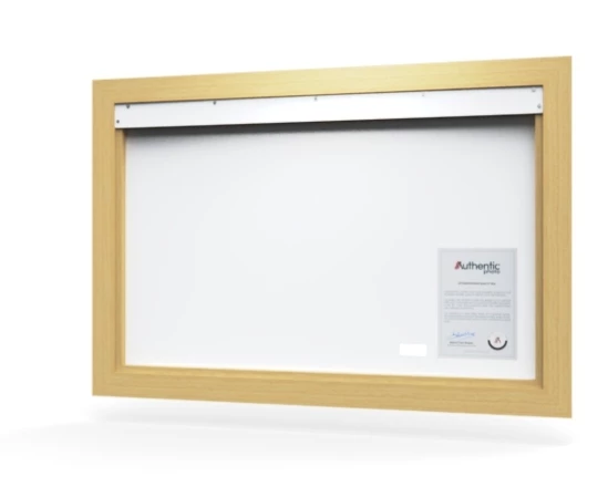 360 view of the product