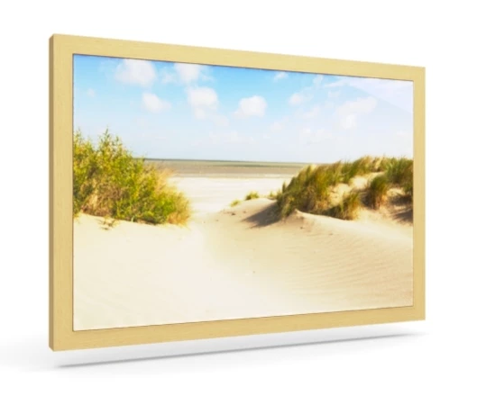 360 view of the product