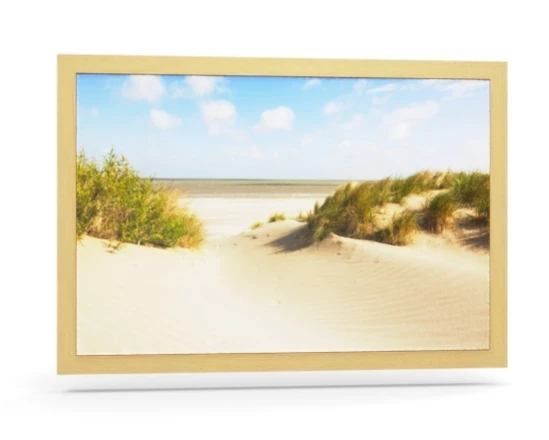 360 view of the product