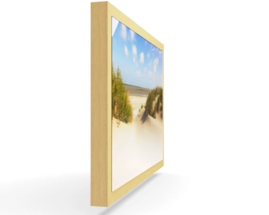 360 view of the product