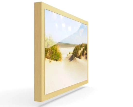 360 view of the product