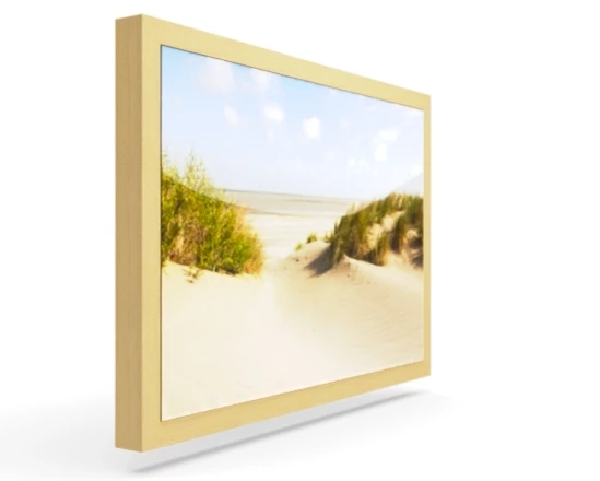 360 view of the product