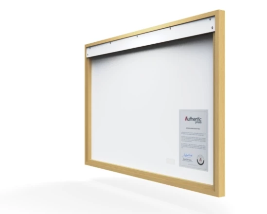 360 view of the product