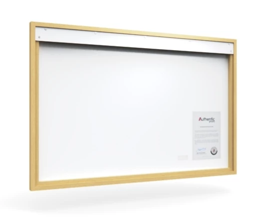 360 view of the product