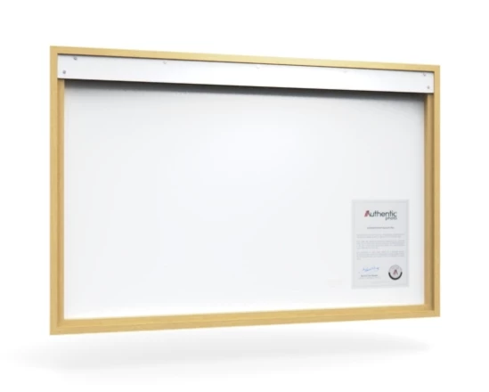 360 view of the product