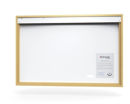 360 view of the product