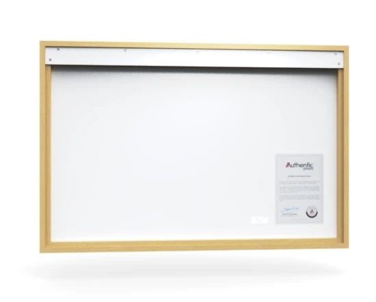 360 view of the product