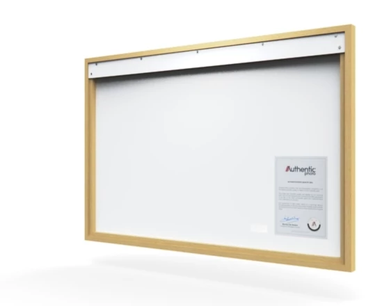 360 view of the product