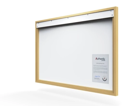 360 view of the product