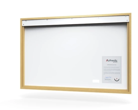 360 view of the product