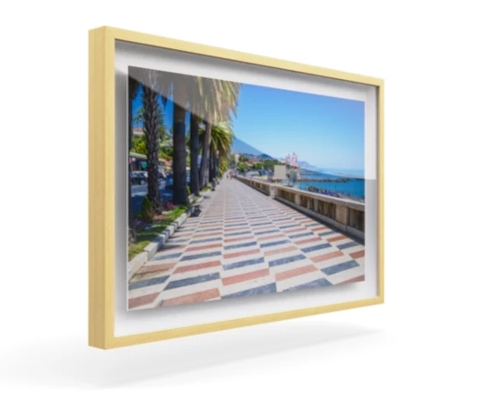 360 view of the product