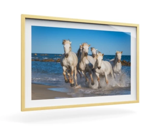 360 view of the product