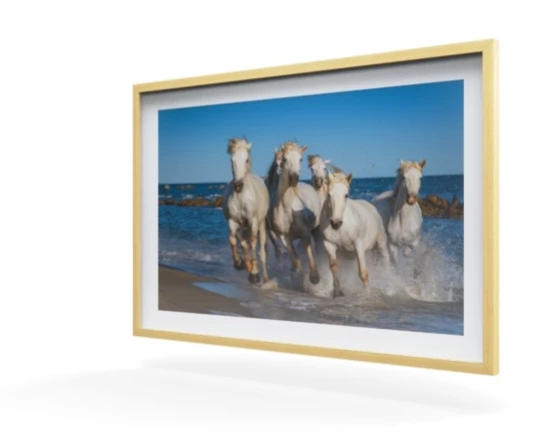 360 view of the product