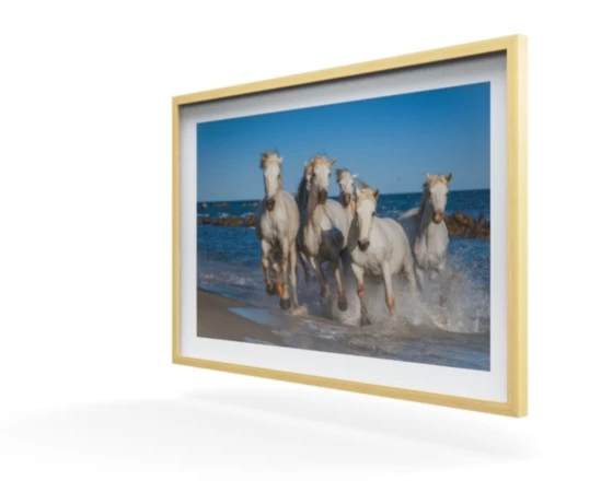 360 view of the product