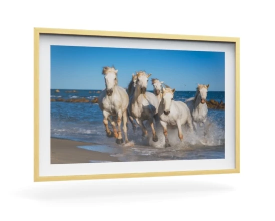 360 view of the product