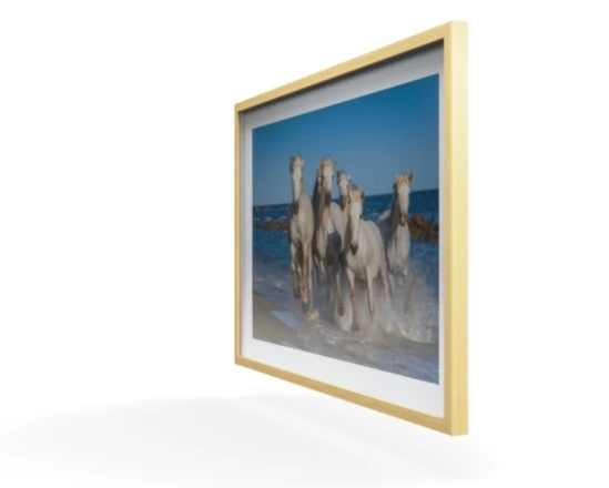 360 view of the product