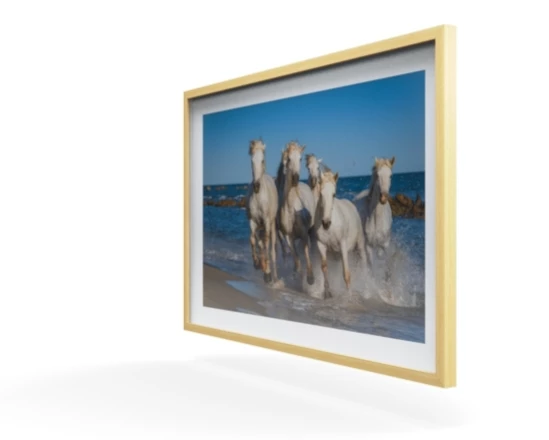 360 view of the product