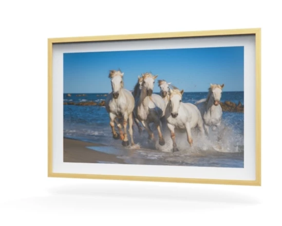 360 view of the product