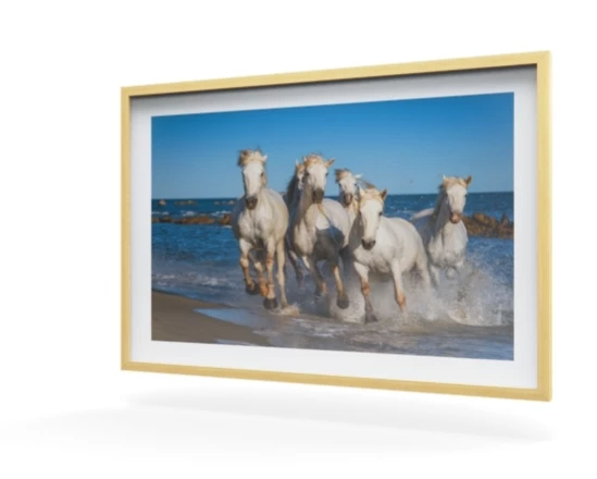 360 view of the product