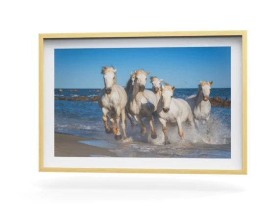 360 view of the product