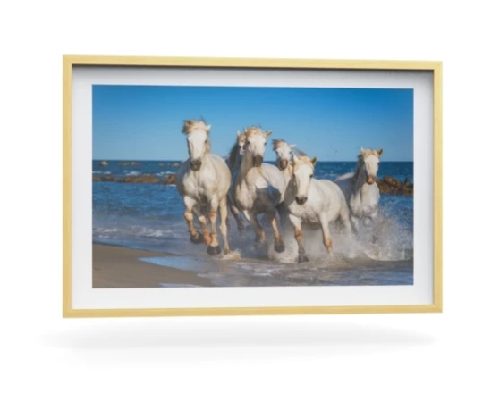 360 view of the product