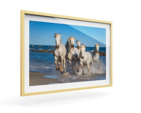 360 view of the product