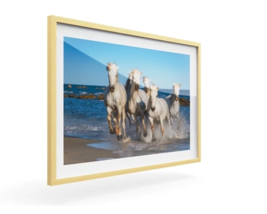 360 view of the product