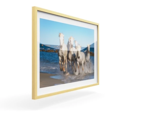 360 view of the product