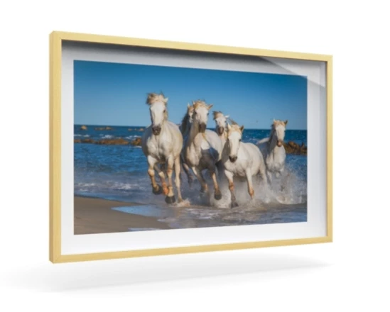 360 view of the product