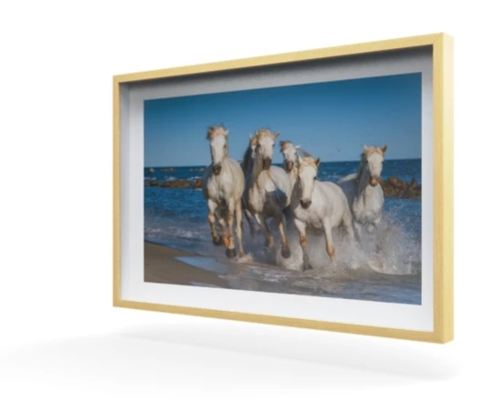 360 view of the product