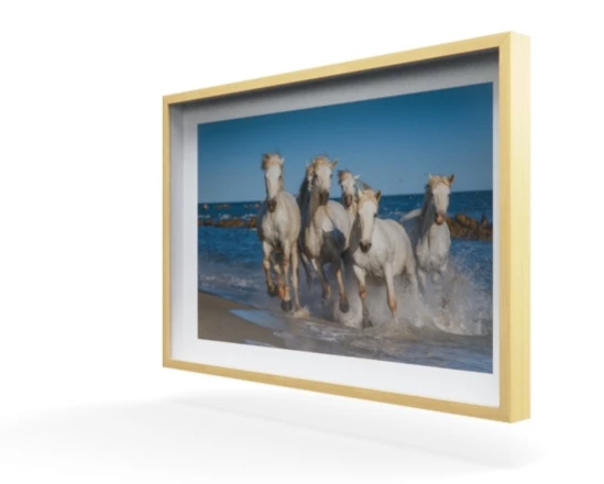 360 view of the product