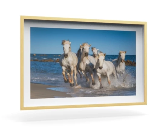 360 view of the product