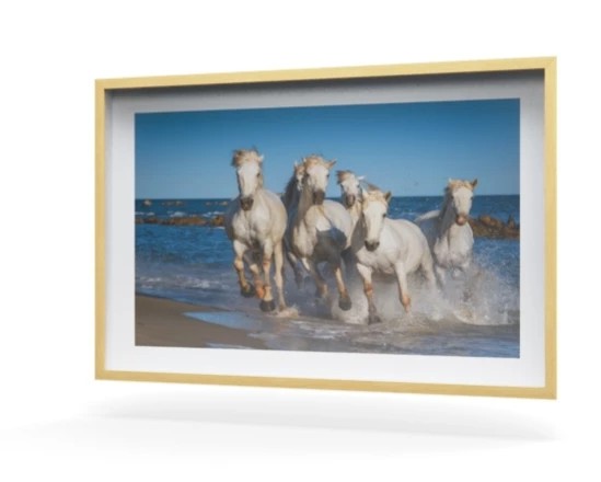 360 view of the product