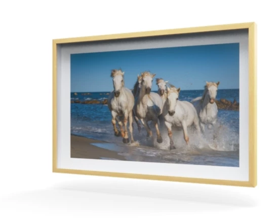 360 view of the product